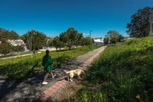 Braga integra projeto internacional de&nbsp; desenvolvimento urbano sustentável