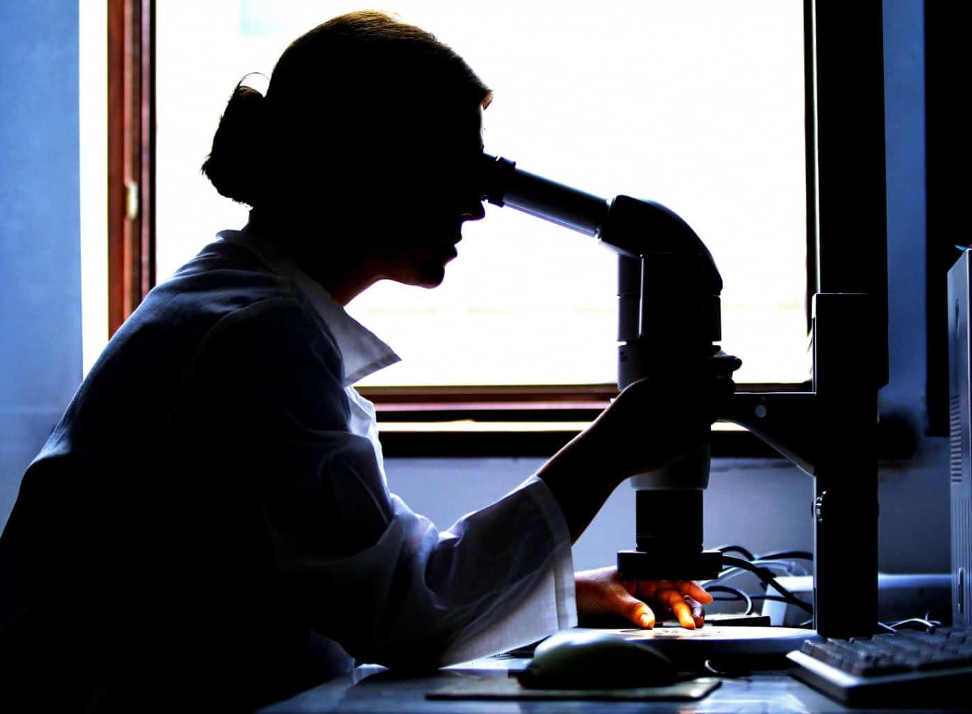 Evento reúne em Portugal investidores com 10.000 ME para aplicar na longevidade