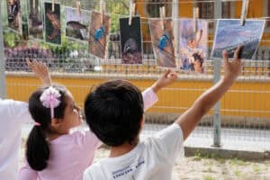 EcoMOV Braga quer incentivar crianças e pais a conhecer a fauna do concelho