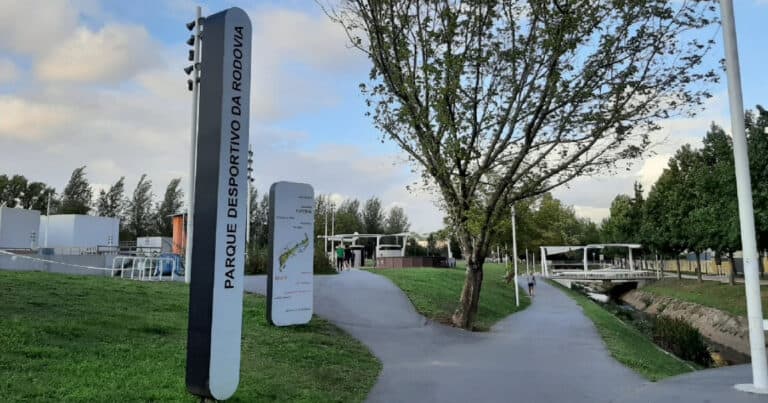 SYnergia apresenta este domingo na Rodovia campanha sobre ODS