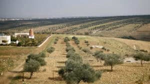 Portugal esgota hoje os recursos disponíveis para este ano