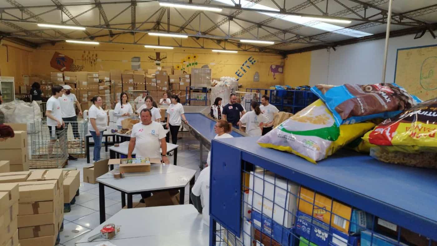 Banco Alimentar Contra a Fome angariou mais de 1.719 toneladas de alimentos