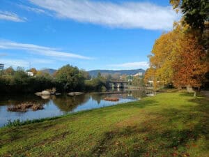 Estudantes de Erasmus da UMinho limpam Rio Ave