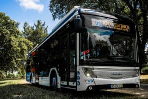 TUB oferecem transporte no Dia Mundial do Ambiente