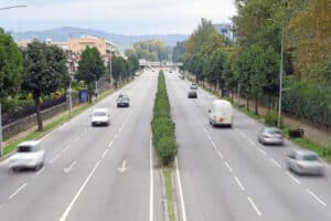 Câmara de Braga avança com abate e substituição de 35 árvores