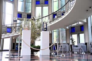 Taças conquistadas pelo FC Famalicão expostas nos Paços do Concelho