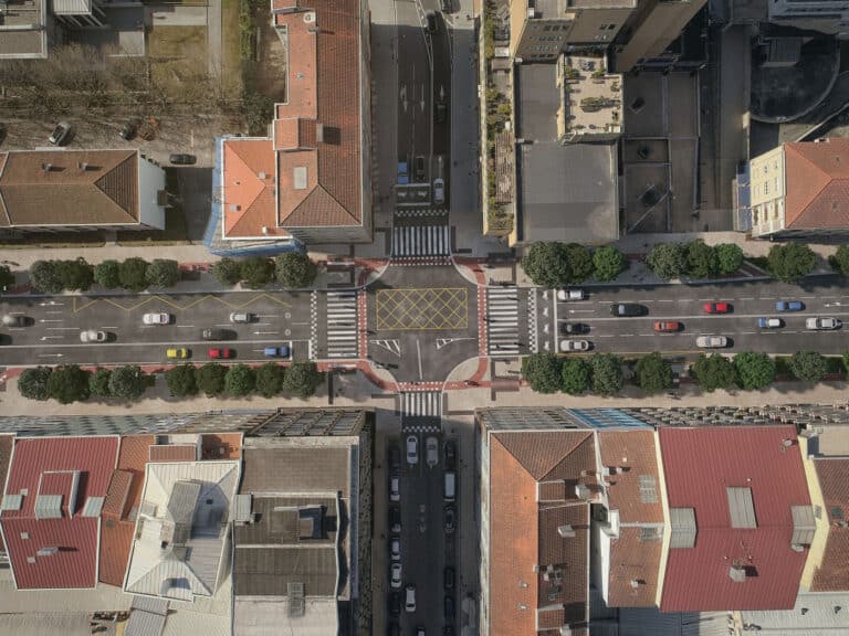 Av.Liberdade. "Falta de agilização" com BRT e eventual abate de árvores preocupa PAN