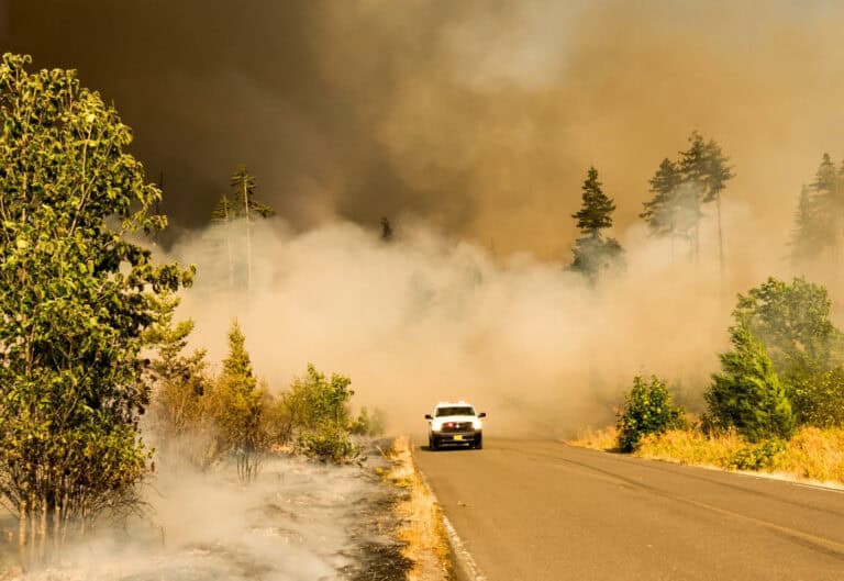 Portugal foi o 2.º país europeu mais afetado pelos fogos florestais em 2022&nbsp;
