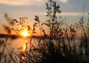 Verão começa com aguaceiros e temperaturas máximas inferiores a 30 graus&nbsp;
