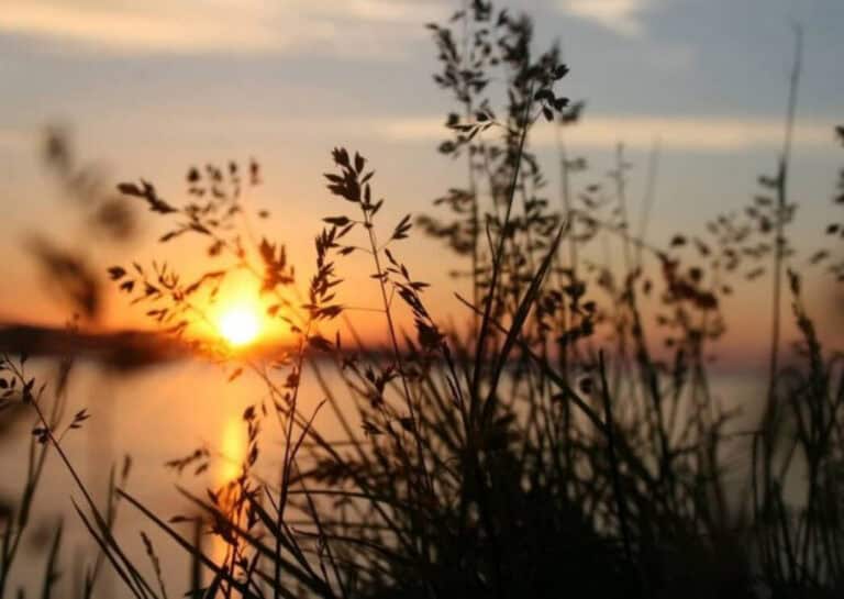 Verão começa com aguaceiros e temperaturas máximas inferiores a 30 graus&nbsp;