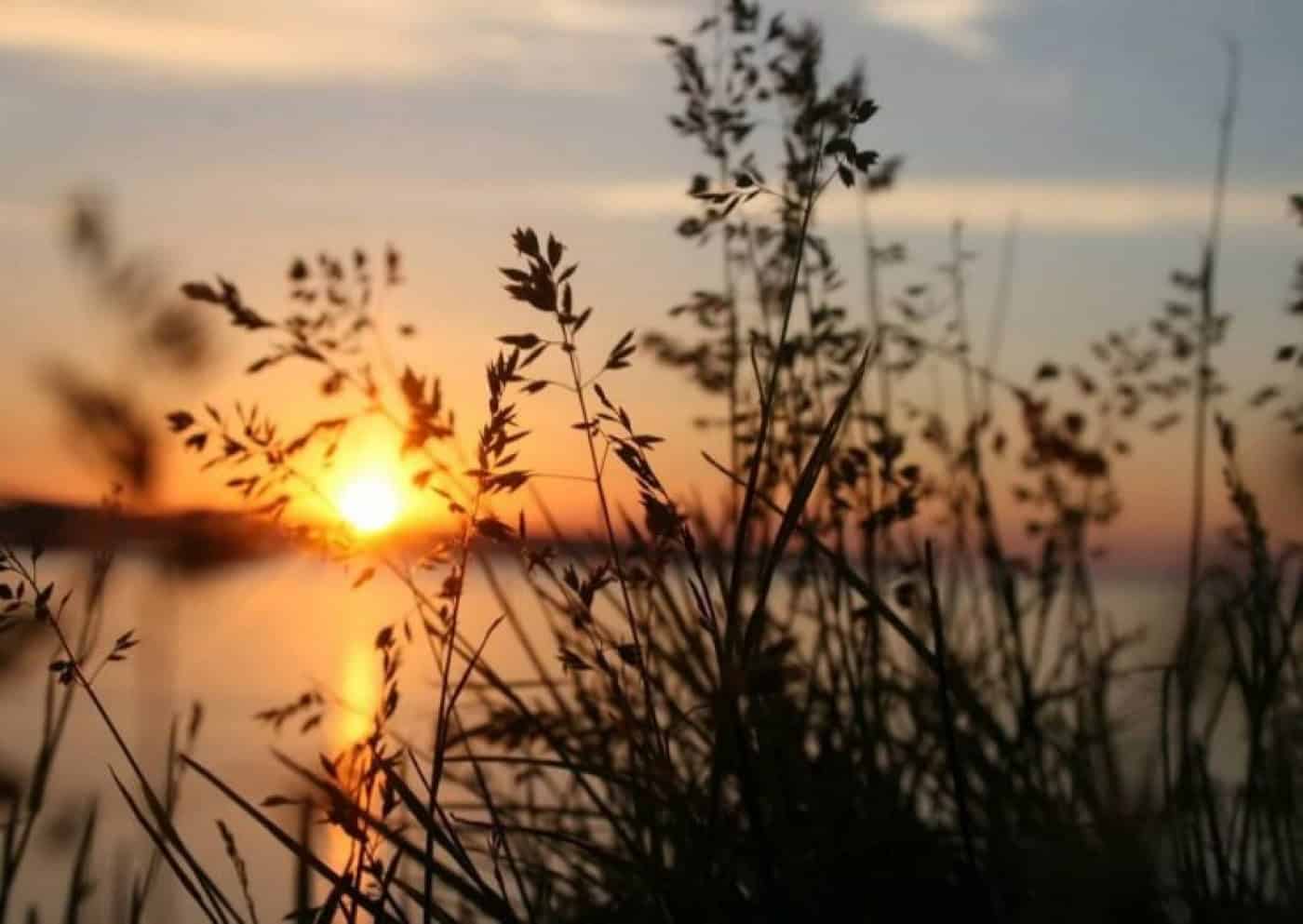 Verão começa com aguaceiros e temperaturas máximas inferiores a 30 graus