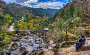 Clictour. Alterações climáticas podem originar quebras de 19% na silvicultura