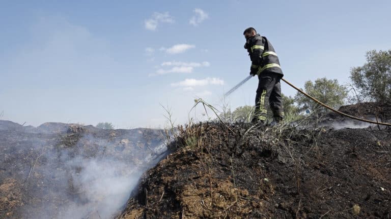 PJ deteve suspeito de atear incêndios em Barcelos por "fascínio do fogo"&nbsp;