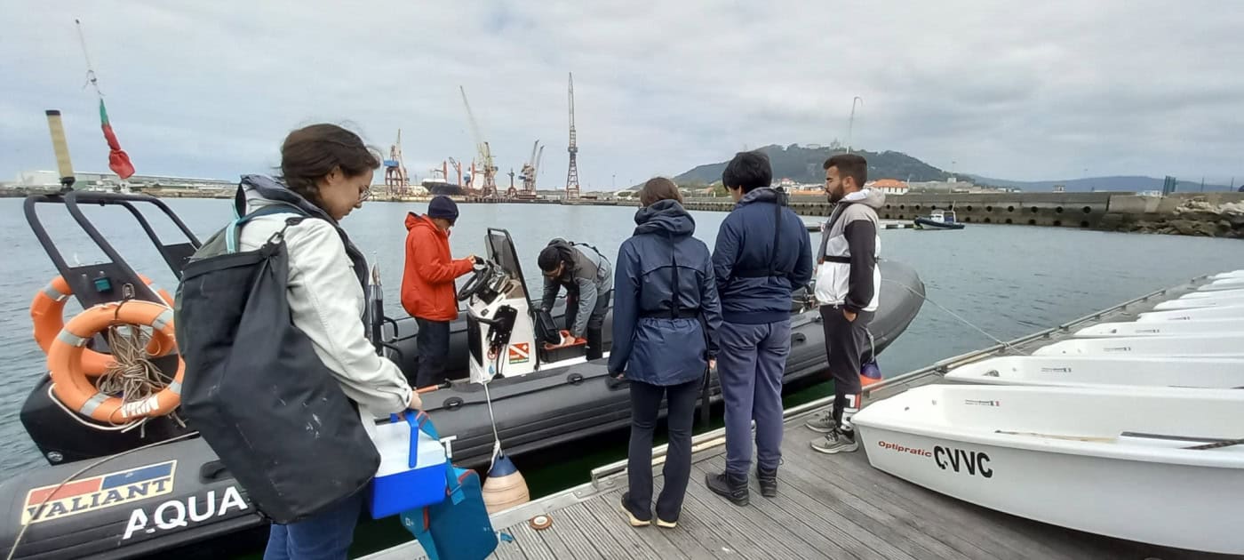 Zona entre a Póvoa de Varzim e Caminha pode vir a ser considerada área marinha protegida