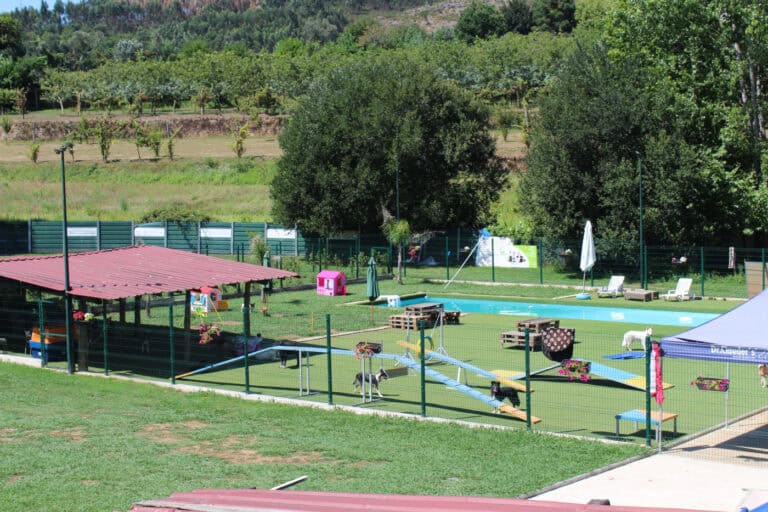 Das tradicionais boxes até um verdadeiro campo de férias para os amigos de quatro patas
