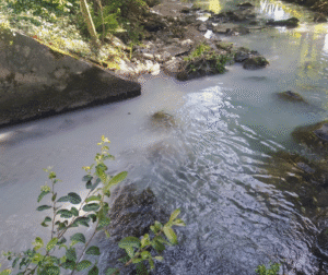 Rio Este sofre duas descargas poluentes