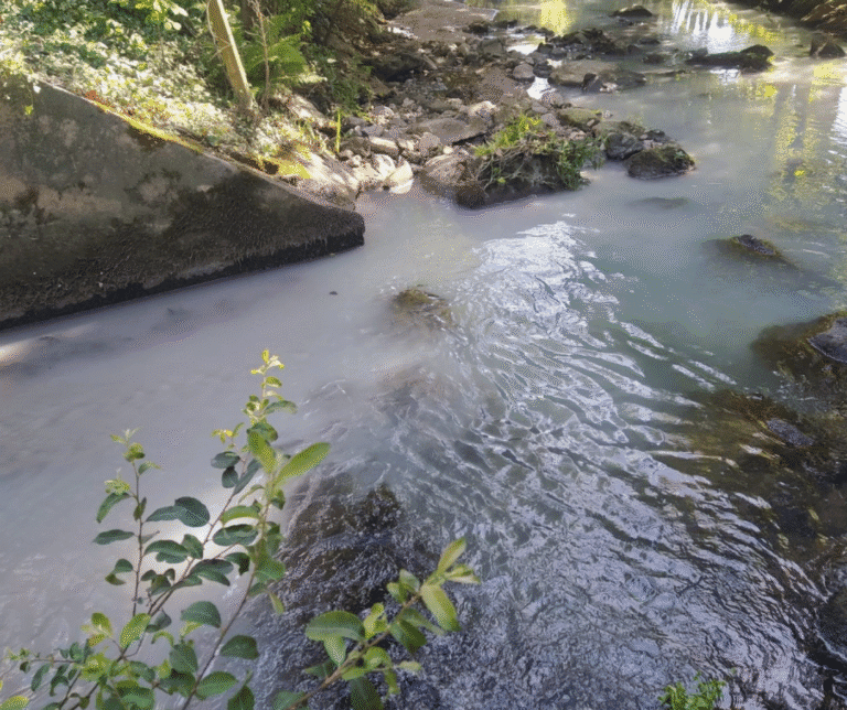 Rio Este sofre duas descargas poluentes