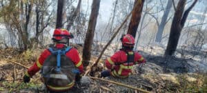 Mais de 80 concelhos de oito distritos em perigo máximo de incêndio&nbsp;