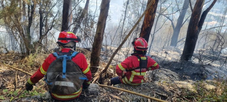 Mais de 80 concelhos de oito distritos em perigo máximo de incêndio&nbsp;