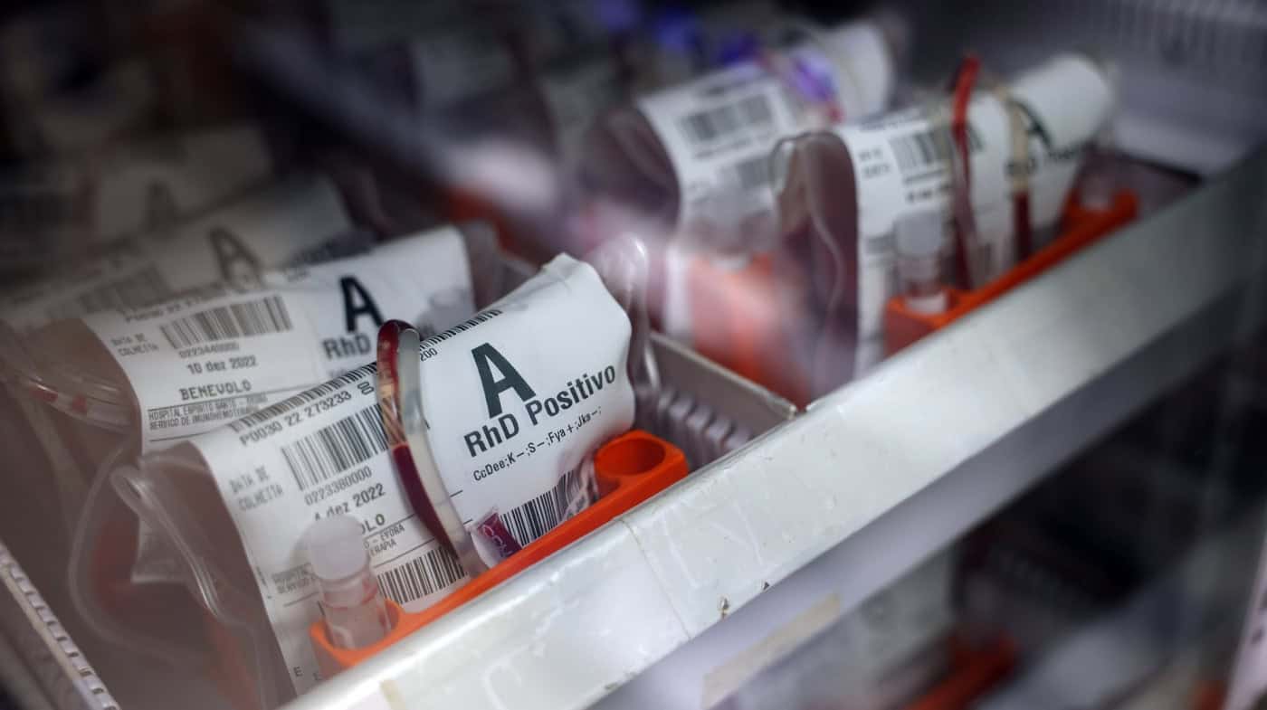 "Precisamos que dê sangue já": reservas estão a dois dias do limite