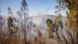 Braga é um dos 90 concelhos que apresenta perigo máximo de incêndio