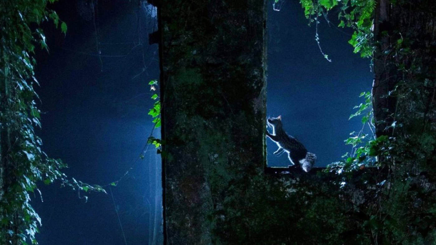 Amantes da fotografia desafiados a fotografar a natureza de Braga