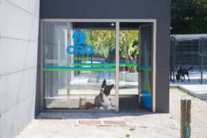 Novo canil vai servir, pelo menos, os seis concelhos do Cávado