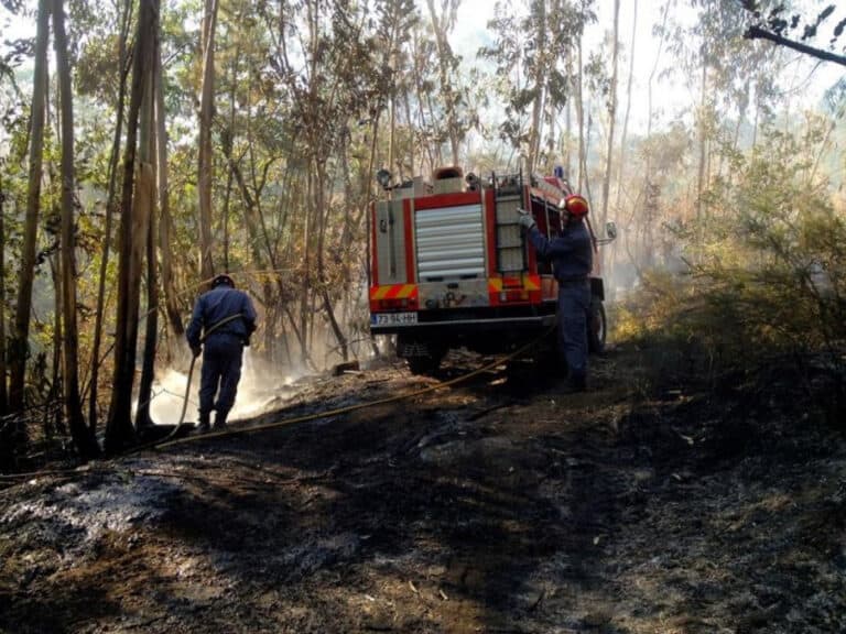 Sistema de prevenção de incêndios florestais poderá abranger todo o território da CIM Cávado