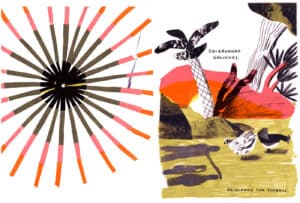 Madalena Matoso vence Grande Prémio da Bienal de Ilustração de Guimarães