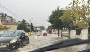 Braga. Mau tempo provocou queda de árvores e danos em viaturas