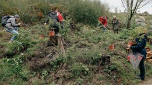 Empresas de Guimarães plantam 500 árvores autóctones