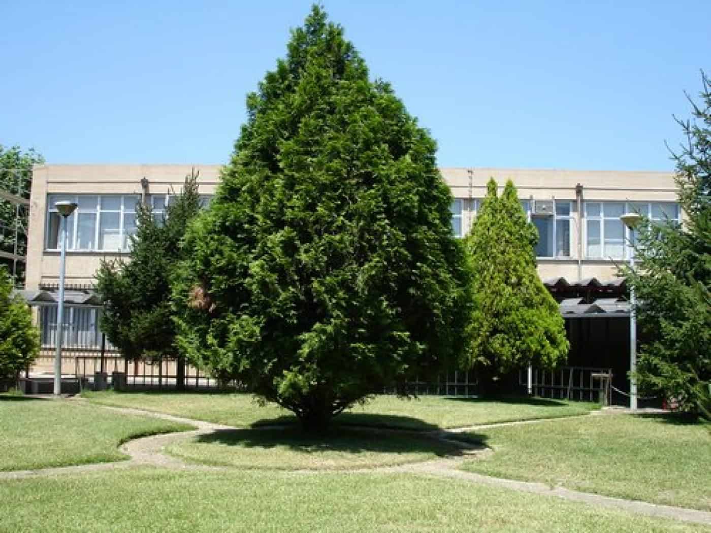 Quatro escolas de Braga vão ser reabilitadas através do PRR