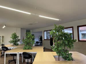 AAUMinho espera abrir espaços de estudo da sede de Guimarães até final de 2023