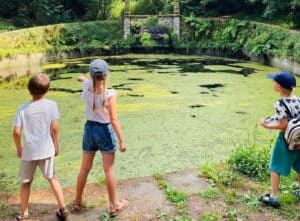 Adolescere capitaliza casos de sucesso na resposta de apoio familiar e acompanhamento parental&nbsp;&nbsp;