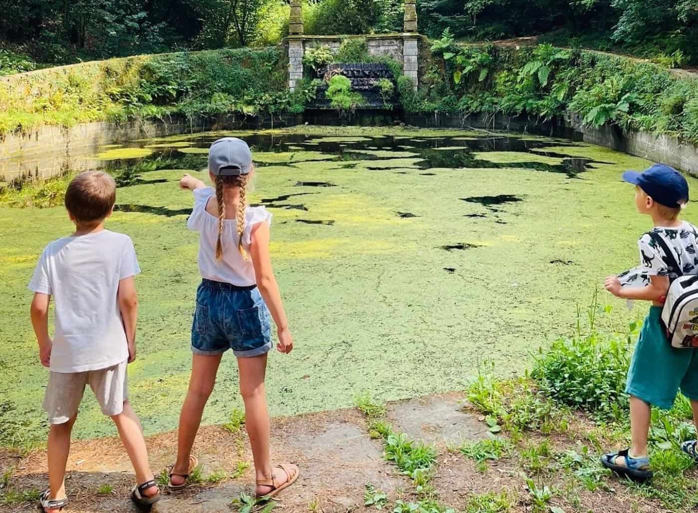 Adolescere capitaliza casos de sucesso na resposta de apoio familiar e acompanhamento parental