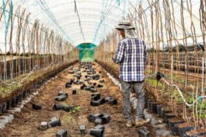 Dezenas de detidos em operação contra tráfico de seres humanos no Alentejo&nbsp;