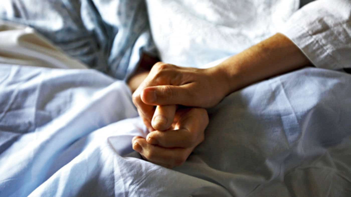 Regulamentação da lei da eutanásia adiada para próximo Governo