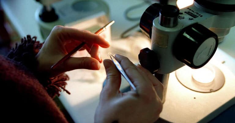 Abrem hoje candidaturas para ingresso de mil investigadores na carreira&nbsp;