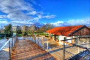 Quinta Pedagógica lança cinoterapia para crianças com necessidades específicas