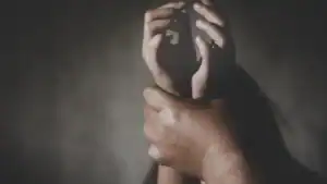 PSP registou mais de 336 mil denúncias criminais nos últimos dois anos&nbsp;