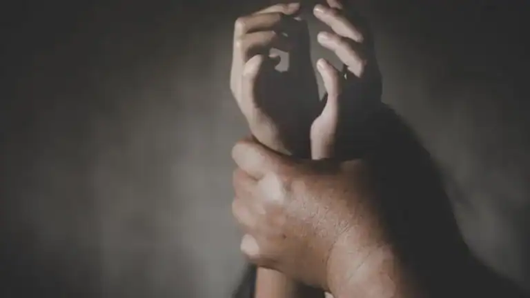 PSP registou mais de 336 mil denúncias criminais nos últimos dois anos&nbsp;