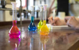 UMinho celebra as mulheres na ciência a partir do Departamento de Química