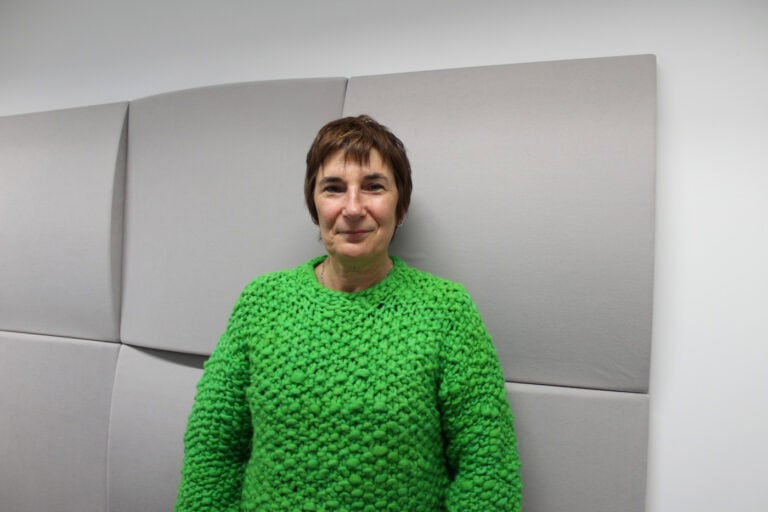 Livre quer 10% de habitação pública e ligação ferroviária no Quadrilátero Urbano