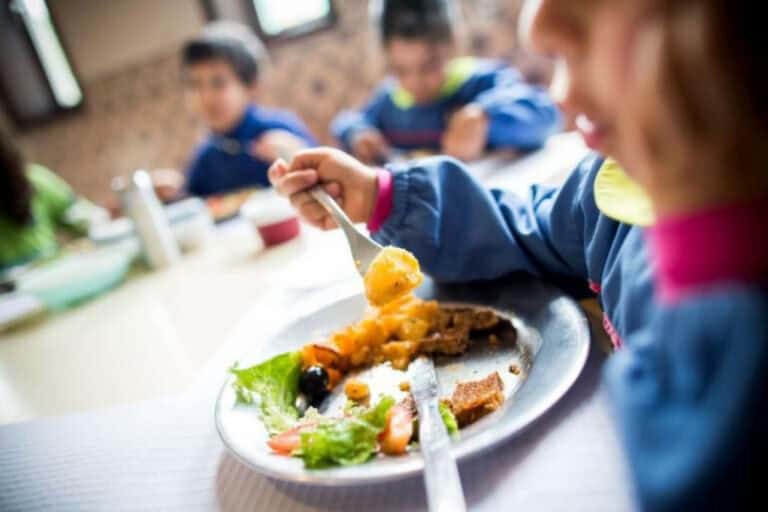 CDU alerta para aumento das carências alimentares dos alunos. CMB promete estar atenta