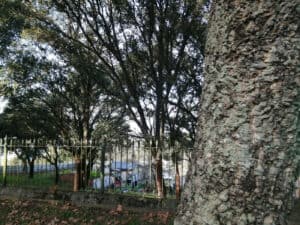 Famílias de S.Gregório terão novas habitações em 2026