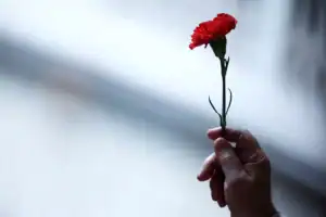 25 Abril: José Mário Branco em escuta no Coliseu do Porto com Capicua, Carlos Tê e Luís de Freitas Branco&nbsp;