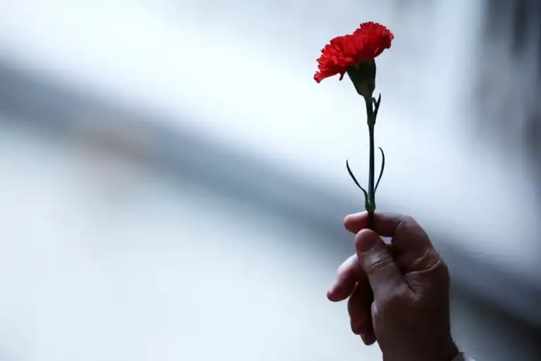 25 Abril: José Mário Branco em escuta no Coliseu do Porto com Capicua, Carlos Tê e Luís de Freitas Branco