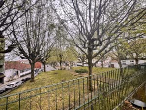 PS acusa CMB de&nbsp;falta de coordenação nas obras públicas