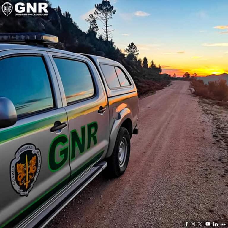 Braga entre os distritos com mais incumprimento na limpeza de terrenos