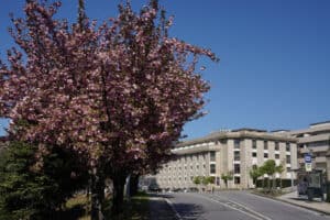 Autarca de Guimarães coloca nas mãos do governo novo Campus da Justiça